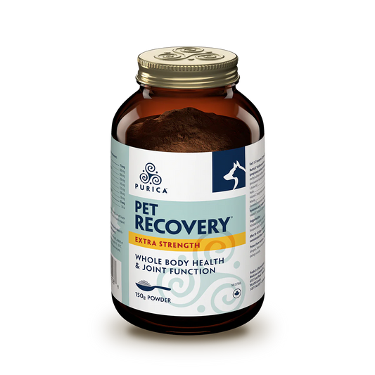 Purica Pet Recovery Extra Strength (Powder)